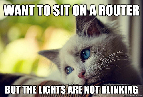 Want to sit on a router but the lights are not blinking  First World Problems Cat