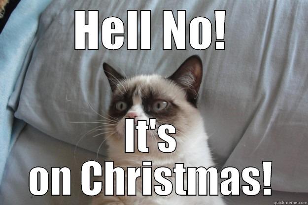 HELL NO! IT'S ON CHRISTMAS! Grumpy Cat