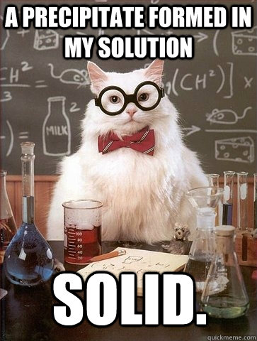 A PRECIPITATE FORMED IN MY SOLUTION SOLID.  Chemistry Cat