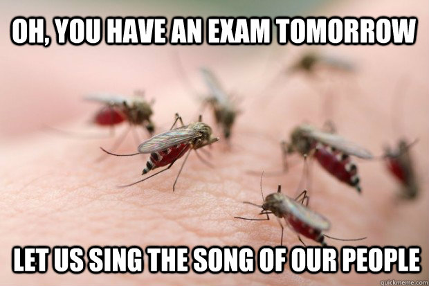 Oh, you have an exam tomorrow let us sing the song of our people - Oh, you have an exam tomorrow let us sing the song of our people  Misc