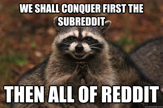 we shall conquer first the subreddit then all of reddit  Evil Plotting Raccoon