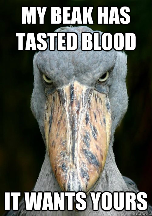 My beak has tasted blood It wants yours  ShoeBill Killer