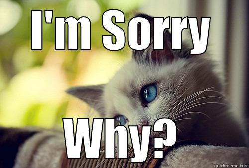 I'M SORRY WHY? First World Problems Cat