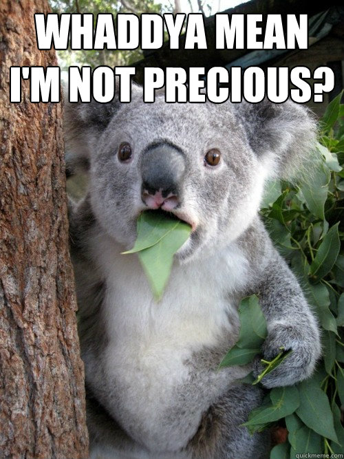 Whaddya mean I'm not Precious?   koala bear