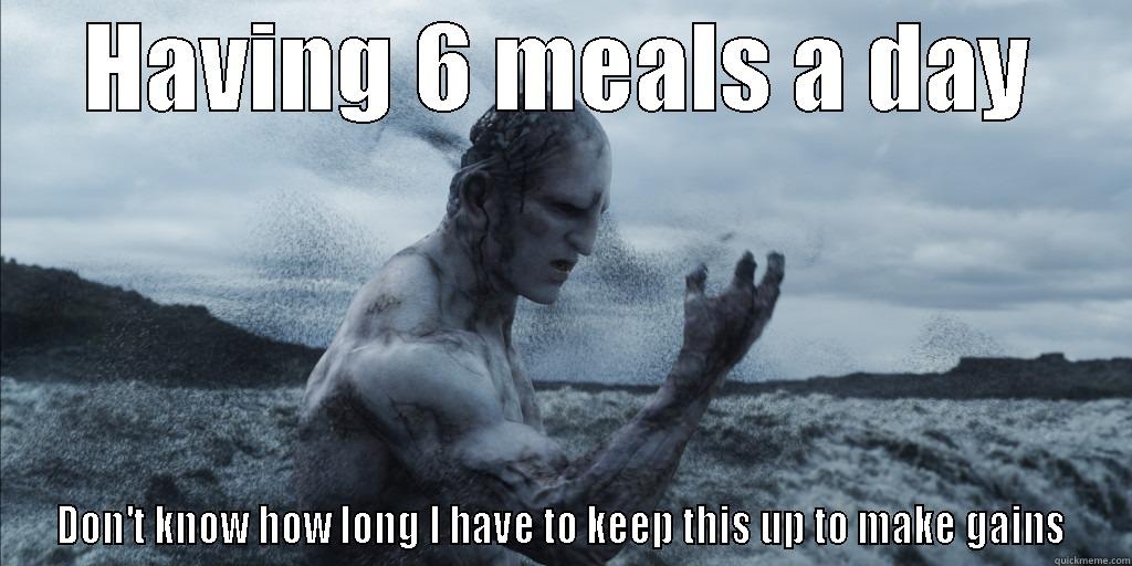 HAVING 6 MEALS A DAY DON'T KNOW HOW LONG I HAVE TO KEEP THIS UP TO MAKE GAINS Misc