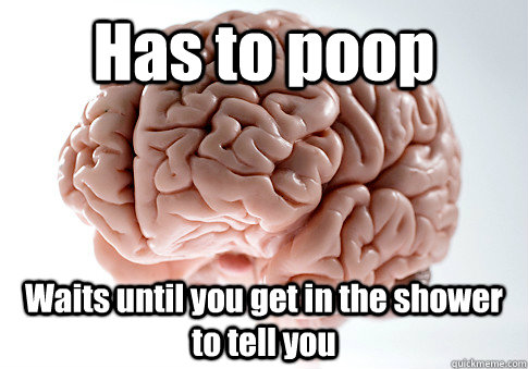 Has to poop Waits until you get in the shower to tell you   Scumbag Brain