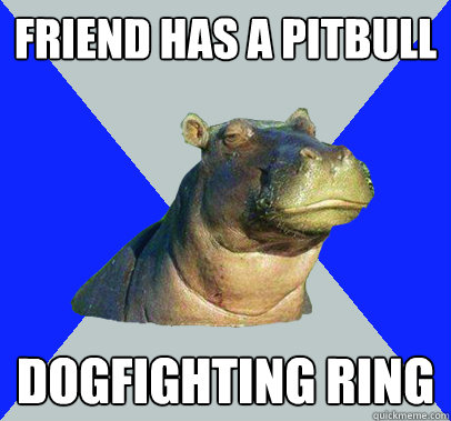 Friend has a Pitbull Dogfighting Ring   Skeptical Hippo