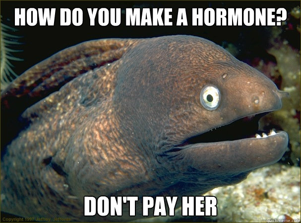 How do you make a hormone? Don't pay her  Bad Joke Eel