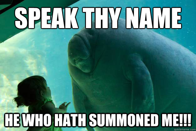 Speak thy name he who hath summoned me!!! - Speak thy name he who hath summoned me!!!  Overlord Manatee