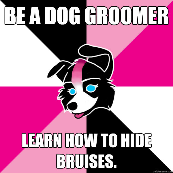 Be a dog groomer learn how to hide bruises. - Be a dog groomer learn how to hide bruises.  The Brynn