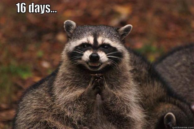    16 DAYS...                                                                Evil Plotting Raccoon