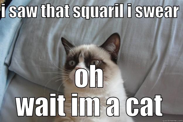 I SAW THAT SQUARIL I SWEAR  OH WAIT IM A CAT Grumpy Cat