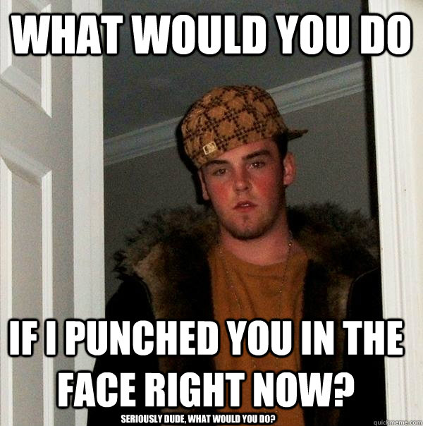 What would you do If I punched you in the face right now? Seriously dude, what would you do?  Scumbag Steve