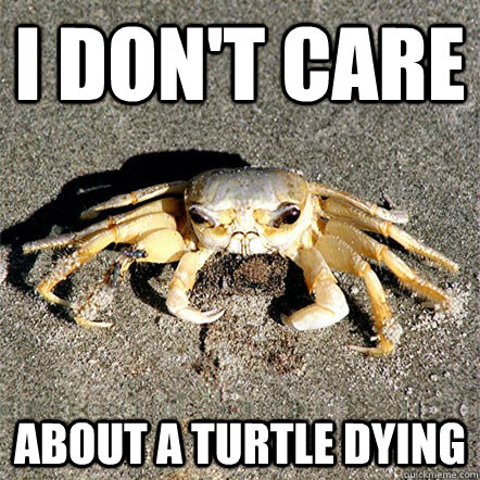 I don't care  About a turtle dying - I don't care  About a turtle dying  Confession Crab