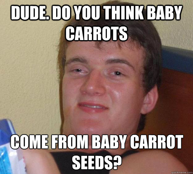 Dude. Do you think baby carrots Come from baby carrot seeds?
  10 Guy