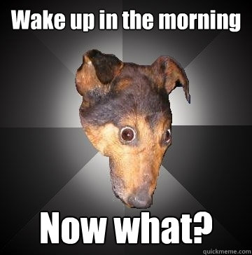 Wake up in the morning Now what?  Depression Dog