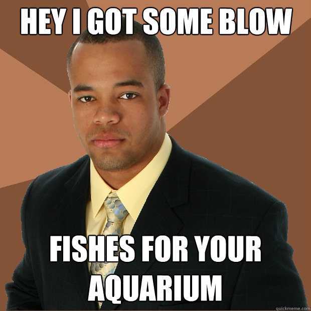 Hey I got some blow fishes for your aquarium   Successful Black Man