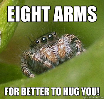 Eight Arms For Better to hug you!  Misunderstood Spider