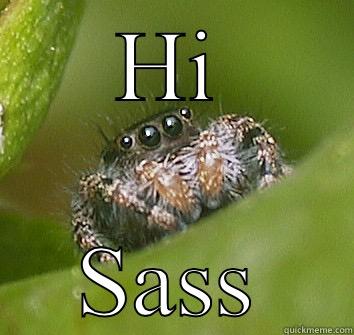 HI SASS Misunderstood Spider