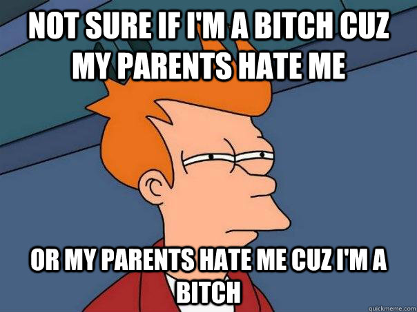 Not sure if I'm a bitch cuz my parents hate me Or my parents hate me cuz I'm a bitch  Futurama Fry