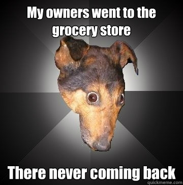 My owners went to the grocery store There never coming back  Depression Dog