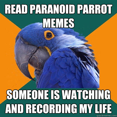 Read Paranoid Parrot Memes Someone is watching and recording my life  