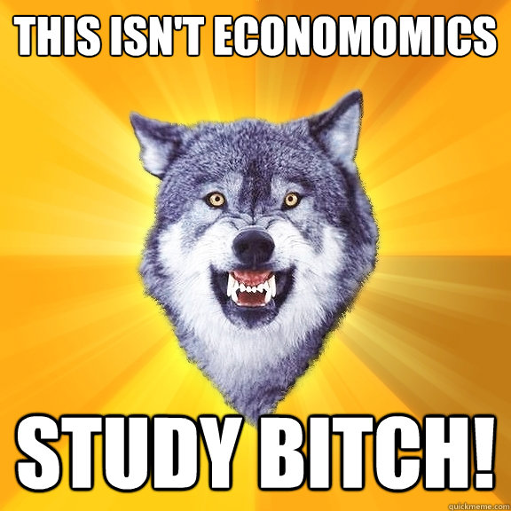 ThIs Isn't Economomics Study Bitch!  Courage Wolf