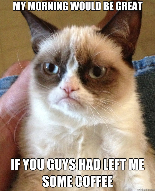 My morning would be great If you guys had left me some coffee  Grumpy Cat