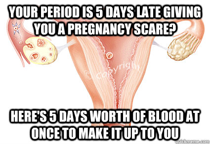 Your period is 5 days late giving you a pregnancy scare? Here's 5 days worth of blood at once to make it up to you  Scumbag Uterus