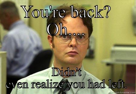 YOU'RE BACK? OH.... DIDN'T EVEN REALIZE YOU HAD LEFT. Schrute