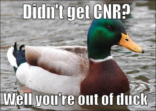 Duck and Rice? -      DIDN'T GET CNR?        WELL YOU'RE OUT OF DUCK   Actual Advice Mallard