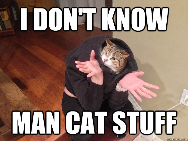 i don't know man cat stuff  Confused Man Cat