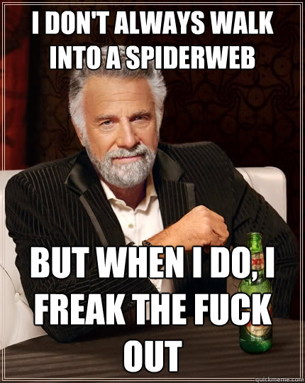 I don't always walk into a spiderweb but when I do, I freak the fuck out  The Most Interesting Man In The World