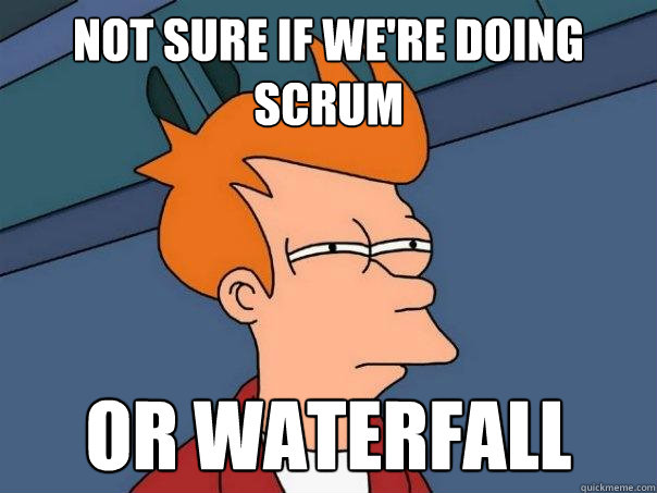 Not sure if we're doing  scrum or waterfall  Futurama Fry