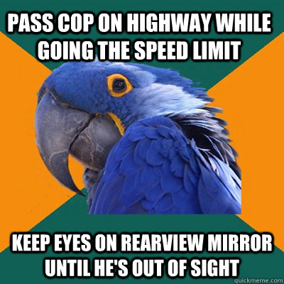 Pass cop on highway while going the speed limit keep eyes on rearview mirror until he's out of sight - Pass cop on highway while going the speed limit keep eyes on rearview mirror until he's out of sight  Paranoid Parrot