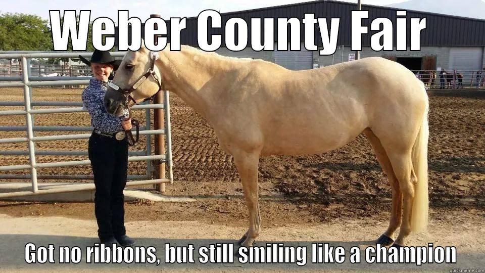 WEBER COUNTY FAIR GOT NO RIBBONS, BUT STILL SMILING LIKE A CHAMPION Misc