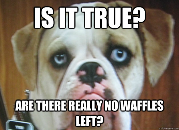 is it true? are there really no waffles left?  Disappointed Dog