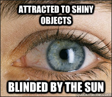 Attracted to shiny objects Blinded by the sun  