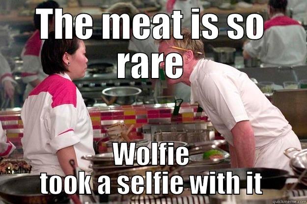 THE MEAT IS SO RARE WOLFIE TOOK A SELFIE WITH IT Gordon Ramsay