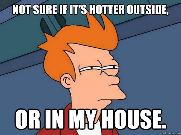 Not sure if it's hotter outside, or in my house.  Futurama Fry