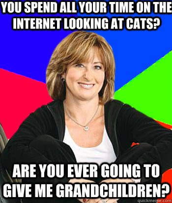 You spend all your time on the internet looking at cats? Are you ever going to give me grandchildren? - You spend all your time on the internet looking at cats? Are you ever going to give me grandchildren?  Sheltering Suburban Mom