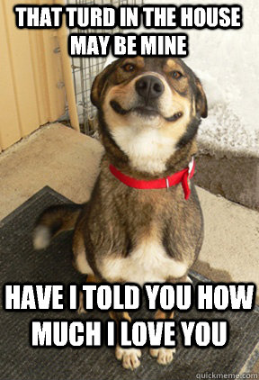 That turd in the house may be mine Have i told you how much i love you - That turd in the house may be mine Have i told you how much i love you  Good Dog Greg