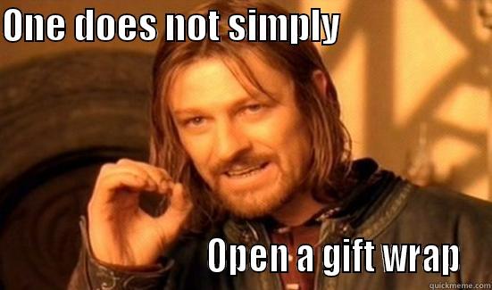 ONE DOES NOT SIMPLY                                                  OPEN A GIFT WRAP Boromir