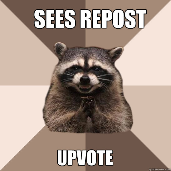 Sees repost Upvote  Evil Plotting Raccoon