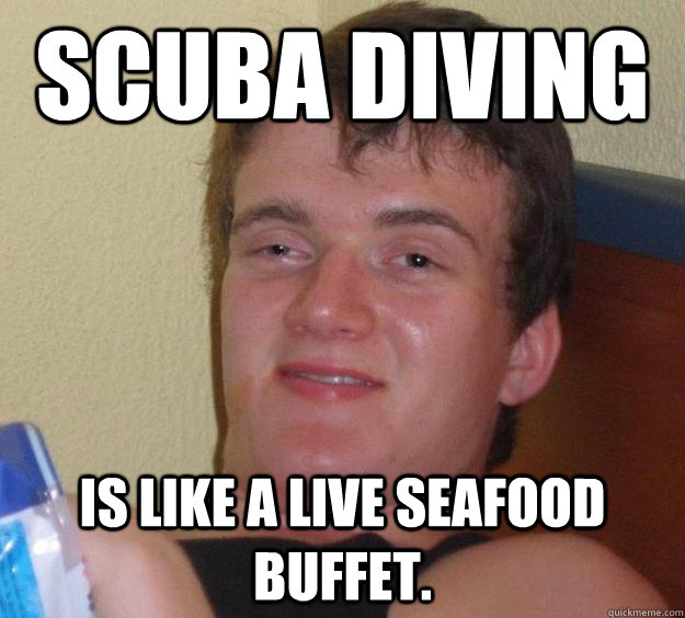 Scuba diving  is like a live seafood buffet.  10 Guy