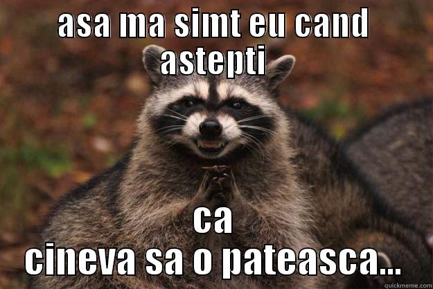 knxcdskancdkscmkaldkkx n - ASA MA SIMT EU CAND ASTEPTI CA CINEVA SA O PATEASCA... Evil Plotting Raccoon