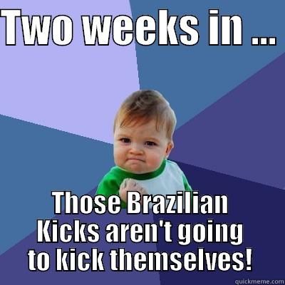 TWO WEEKS IN ...  THOSE BRAZILIAN KICKS AREN'T GOING TO KICK THEMSELVES! Success Kid