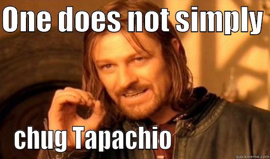 ONE DOES NOT SIMPLY  CHUG TAPACHIO                   Boromir