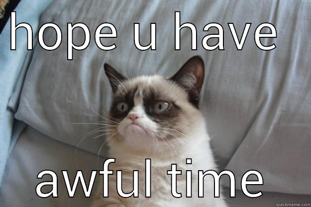 have an awful time - HOPE U HAVE  AWFUL TIME Grumpy Cat