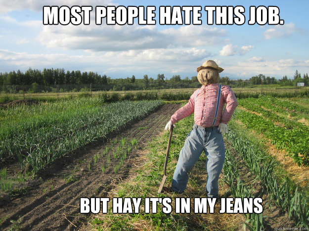 Most People Hate This Job. tomatoes But Hay It's In My Jeans  Scarecrow